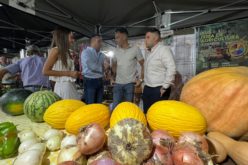 Alhendín fomenta a sus tradiciones y raíces con la XVII Feria de Productos Agrícolas y Artesanales