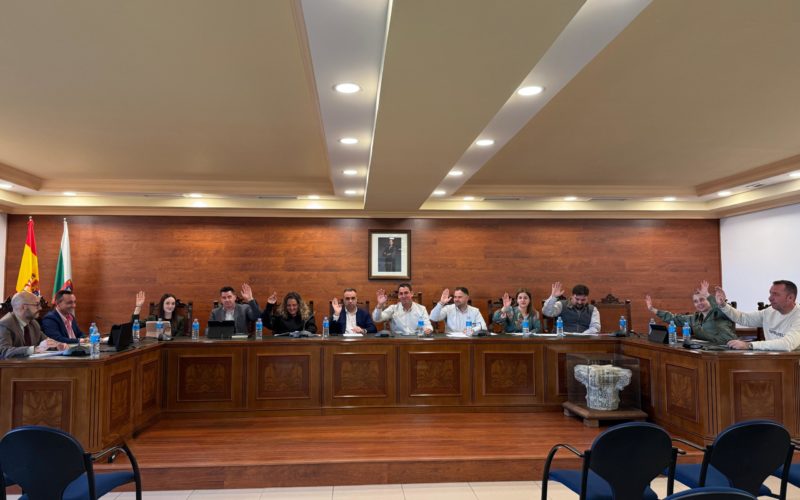 Alhendín, primer municipio que aplica una bonificación del 60% para la construcción de la primera vivienda