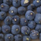 XVIII Feria de la Agricultura de Alhendín