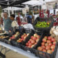 XVIII Feria de la Agricultura de Alhendín