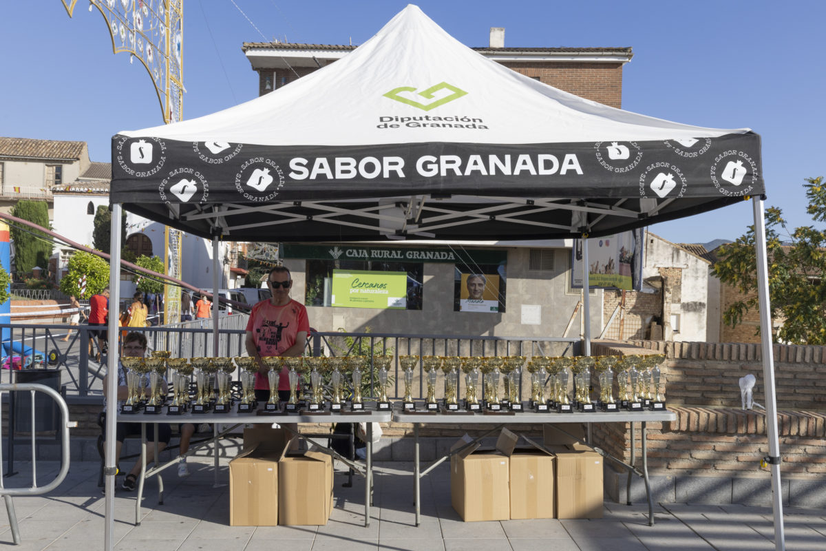 XXIII Carrera Urbana Villa de Alhendín